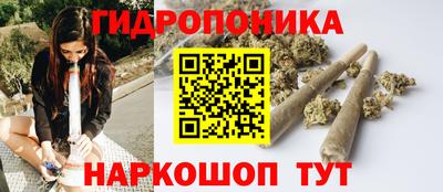 кокс Боровичи